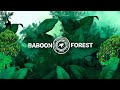 Baboon Forest Presents - Uganda Yaffe All star Remix (Audio)