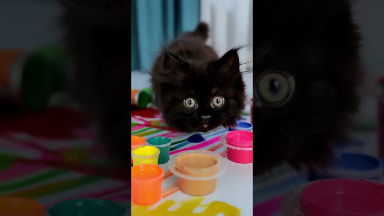 Kittens Paint Pure Chaos Cuteness 