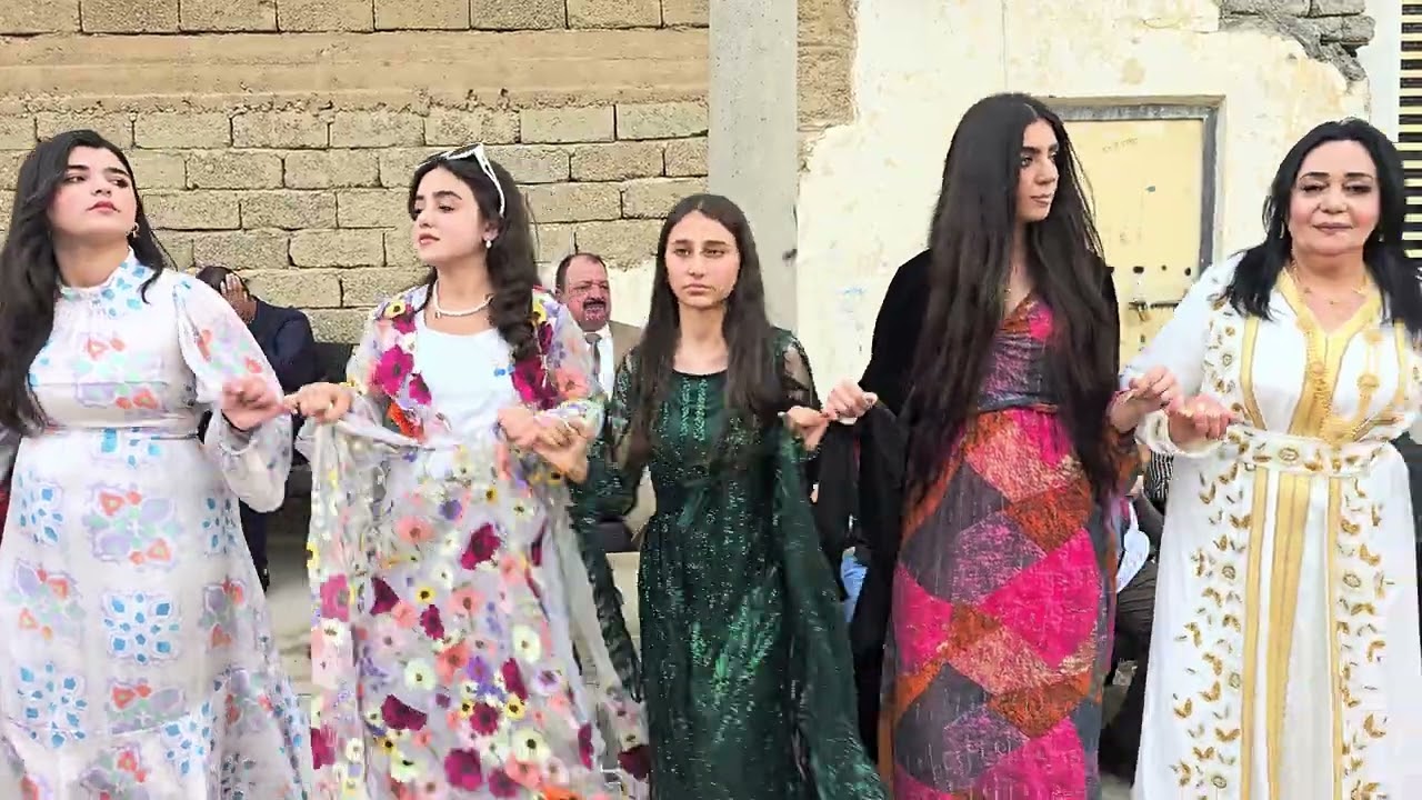 هيفارا توافا شيشمس 8.5.2025