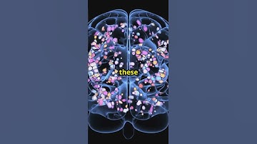 Why do we get #motion #sickness | #shorts #facts #1minuteexplanation