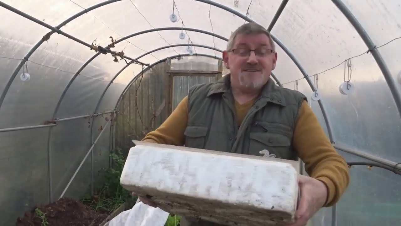 le 26/12/2020: Que semer en janvier?