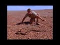 My 5 Most Favourite Steve Irwin Snake Captures