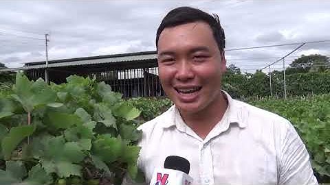 07-01 Bản tin Trong nước và Quốc tế. bắc kạn.  backantv.vn