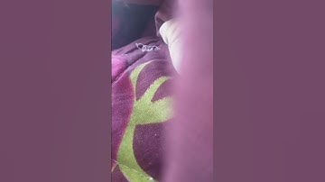 سورة الضحى 🤲🤗