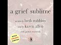 Grief Sublime Audiobook by Beth Robbins