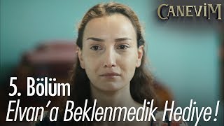 Elvana Beklenmedik Hediye - Canevim 5 Bölüm