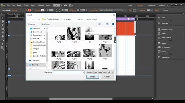 Adobe Muse CC Working with Layers and the Fill Command