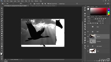 0511 Expanding the canvas to accommodate a layer