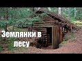 Коп 2016. Землянки в лесу