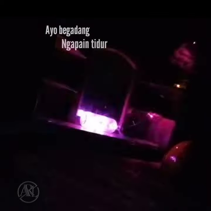 story wa(ayo begadang ngapain tidur)
