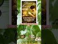 Dear Enemy clip 2 | Video | Sad  Love Story | English Audio Book #shorts #shortfeed #sad #audiobook
