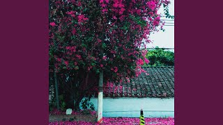 slow summer eve (liminal) - emptiness