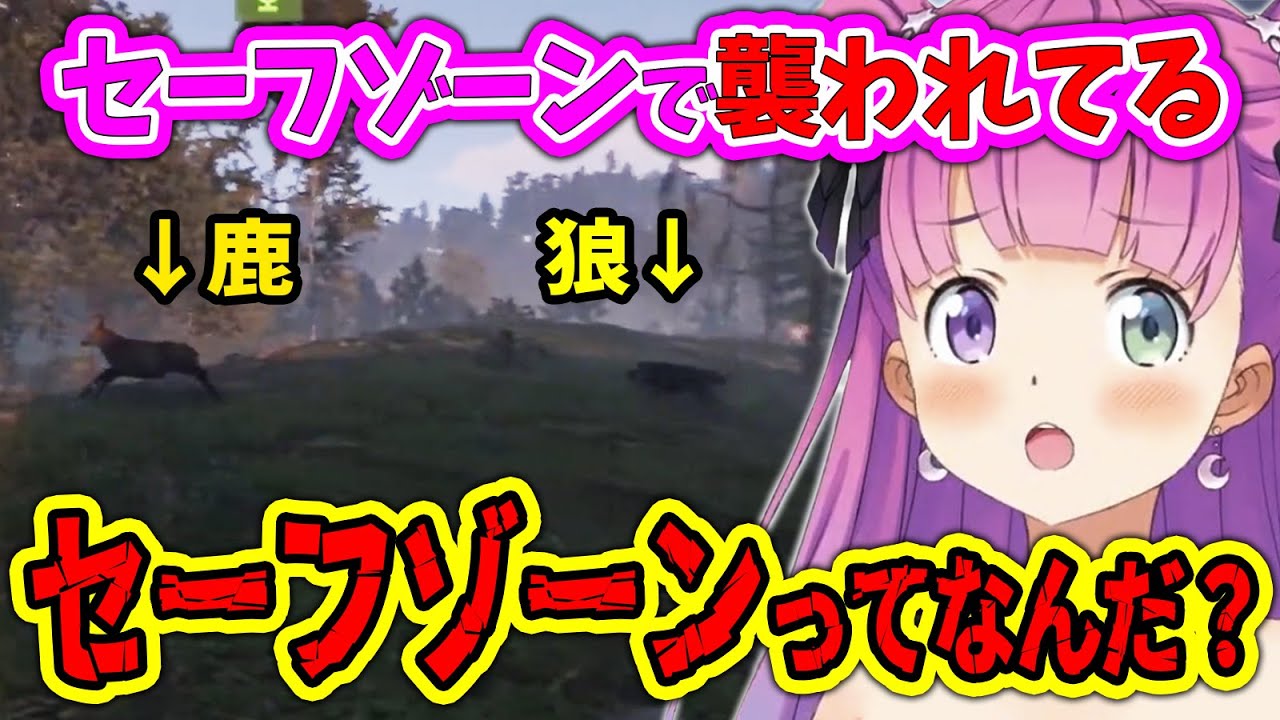 【#ホロ鯖RUST】セーフゾーン内での弱肉強食を目撃してしまい、セーフゾーンとは何かと自問自答し始めるルーナ姫【姫森ルーナ/ホロライブ切り抜き】