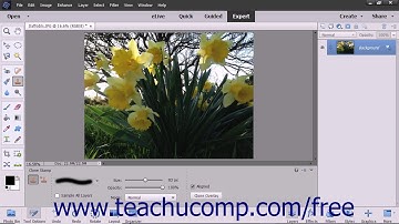 Photoshop Elements 2018 Tutorial The Clone Stamp Tool Adobe Training