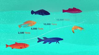 What is Recirculating Aquaculture System (RAS) technology? by AquaMaof