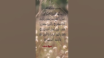 سورة محمد