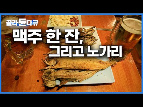 쌀쌀한 퇴근 길 골목에서 노가리에 맥주 한 잔 하는 밤｜서민들의 생선 <strong>명태</strong>｜하나뿐인 지구｜#골라듄다큐