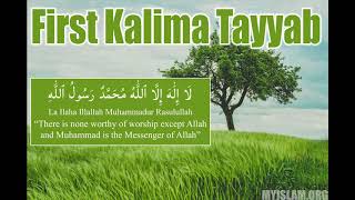 Learn The First Kalima Tayyab Easy - My Islam