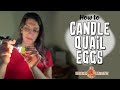 How to candle quail eggs