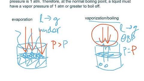 7.1: Liquid Vapor Equilibrium and the Clausius-Clapeyron Equation