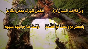 متن الجزرية ( المقدمة فيما يجب على قارئ القرآن أن يعلمه) - الشيخ محمد البيطار