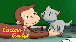 George looks after a Kitten  Curious George   Kids Cartoon  Kids Movies  Videos for Kids