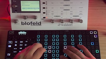 Live Performance on Oxi One + Waldorf Blofeld.   #waldorf  #blofeld  #oxione #oxi #liveperformance 