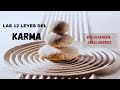 🎯 DEBLOQUEA TU CONEXIÓN 🔥 LLAMAS GEMELAS 🔥 LAS 12  LEYES DEL KARMA #twins