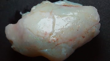 Opal Shell fossil Australian Coober Pedy - 18,5 CT