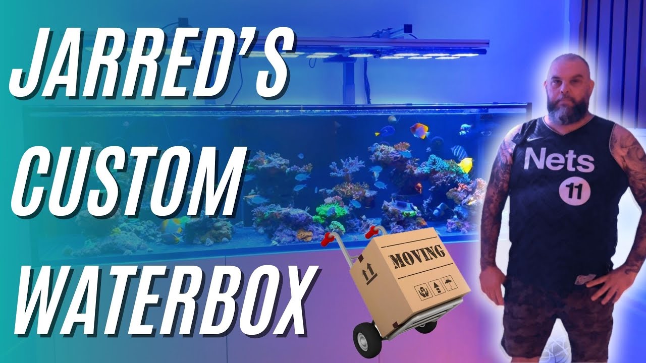 Custom Water Box Jarred's Custom Waterbox and Moving Big Aquariums! - YouTube