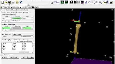 Visual3D Video Tutorial: 6DoF Model Building - Segment Coordinate System