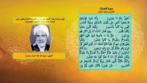 سورة فصلت- ميثم التمار- قناة صوت العقيلة الفضائية