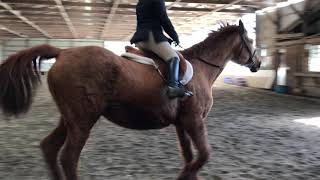 Quinn Wagner on My Quest Intro C