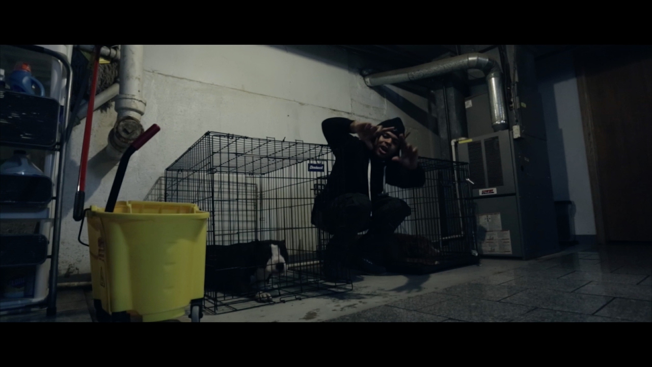 I.L Will - Dog Off The Leash (Prod. By TimmyDaHitman) Dir. By