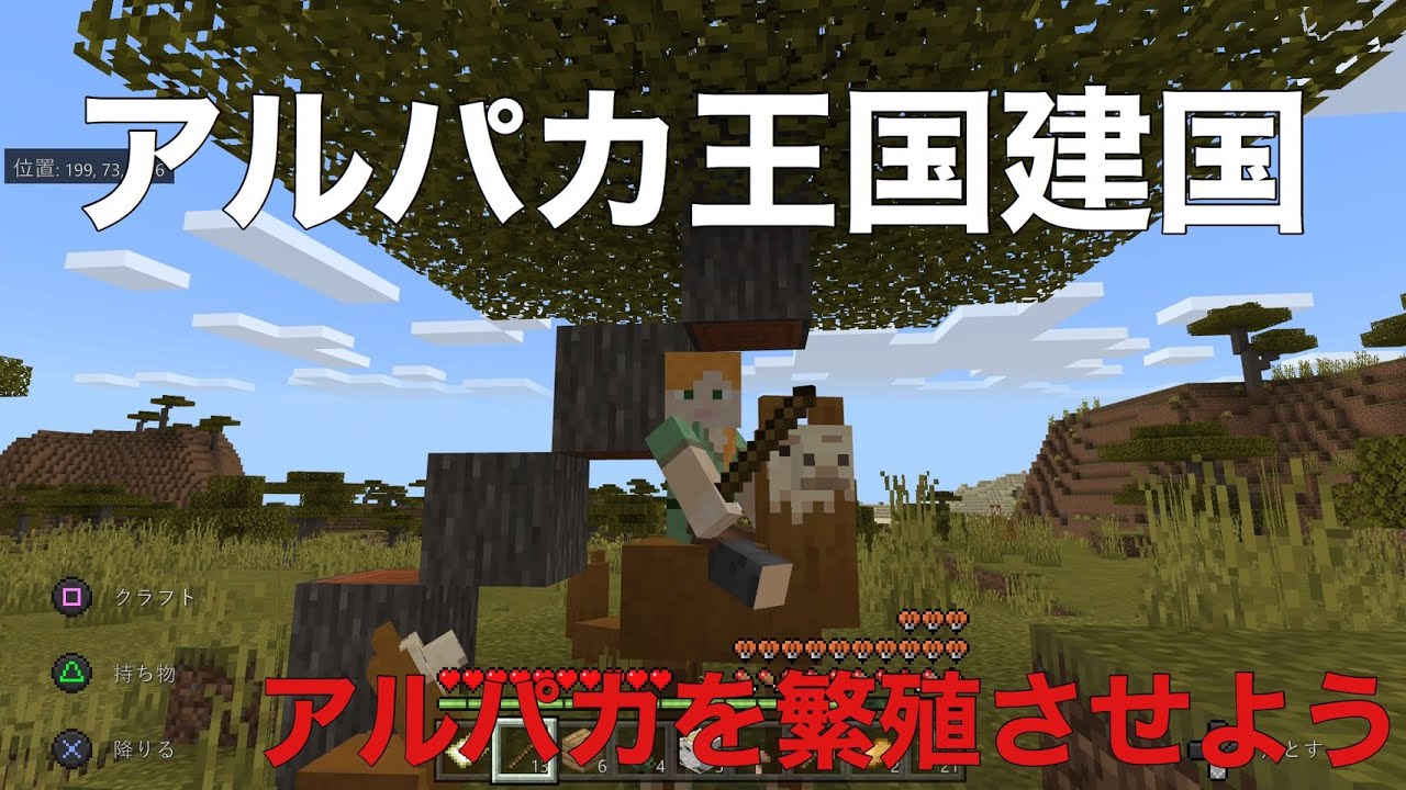 マインクラフト初見プレイ アルパカ王国建設 2日目 アルパカ繁殖編 Youtube マインクラフト初見プレイ アルパカ王国建設 2日目 アルパカ繁殖編 Youtube