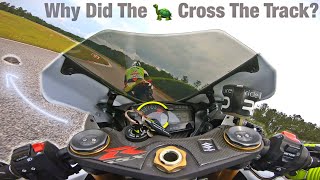 Why Did The Turtle Cross The Race Track? - GSXR750 Onboard by SALTxTHExWOUND 1,204 views 9 months ago 9 minutes