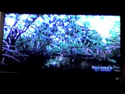 Discovery Channel-Austin Steven's Python Adventure