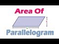 How To Calculate Area of Parallelogram