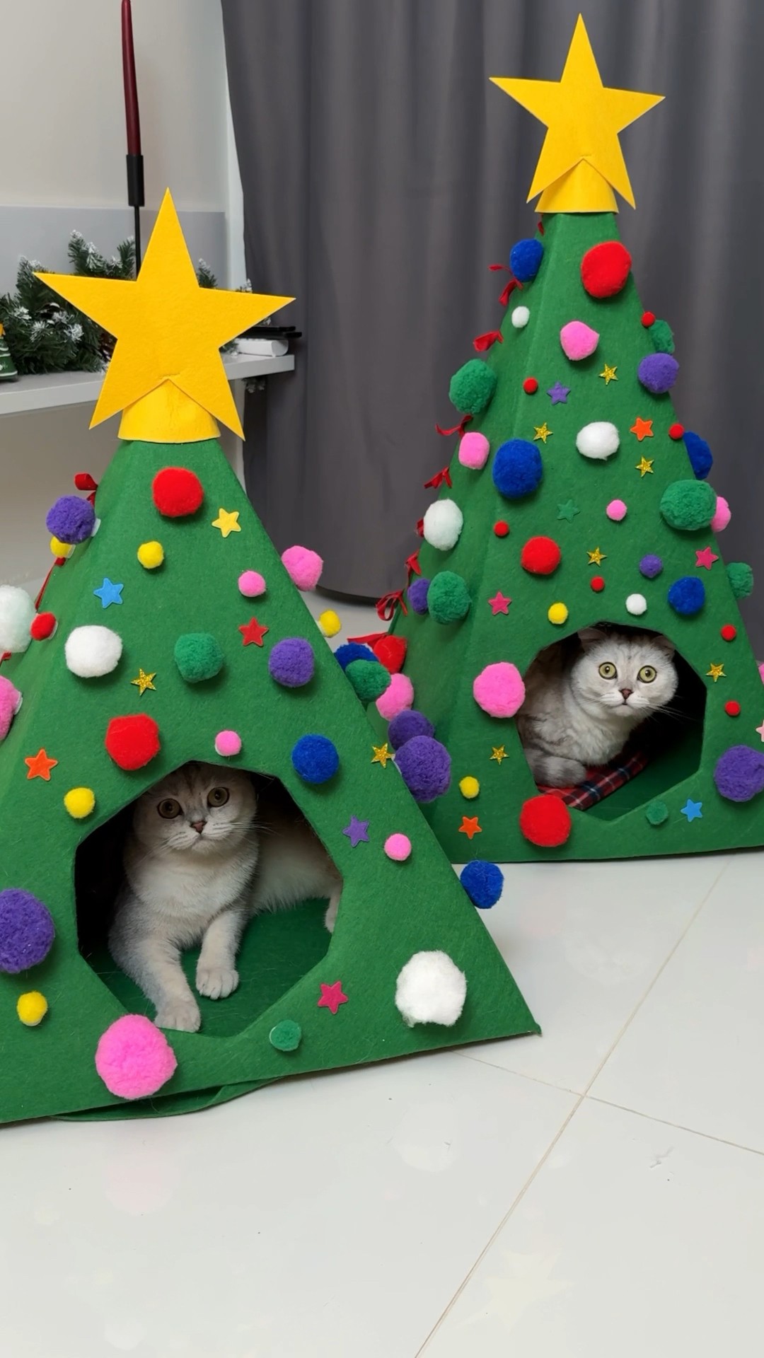 Christmas tree for cats #cat #cats