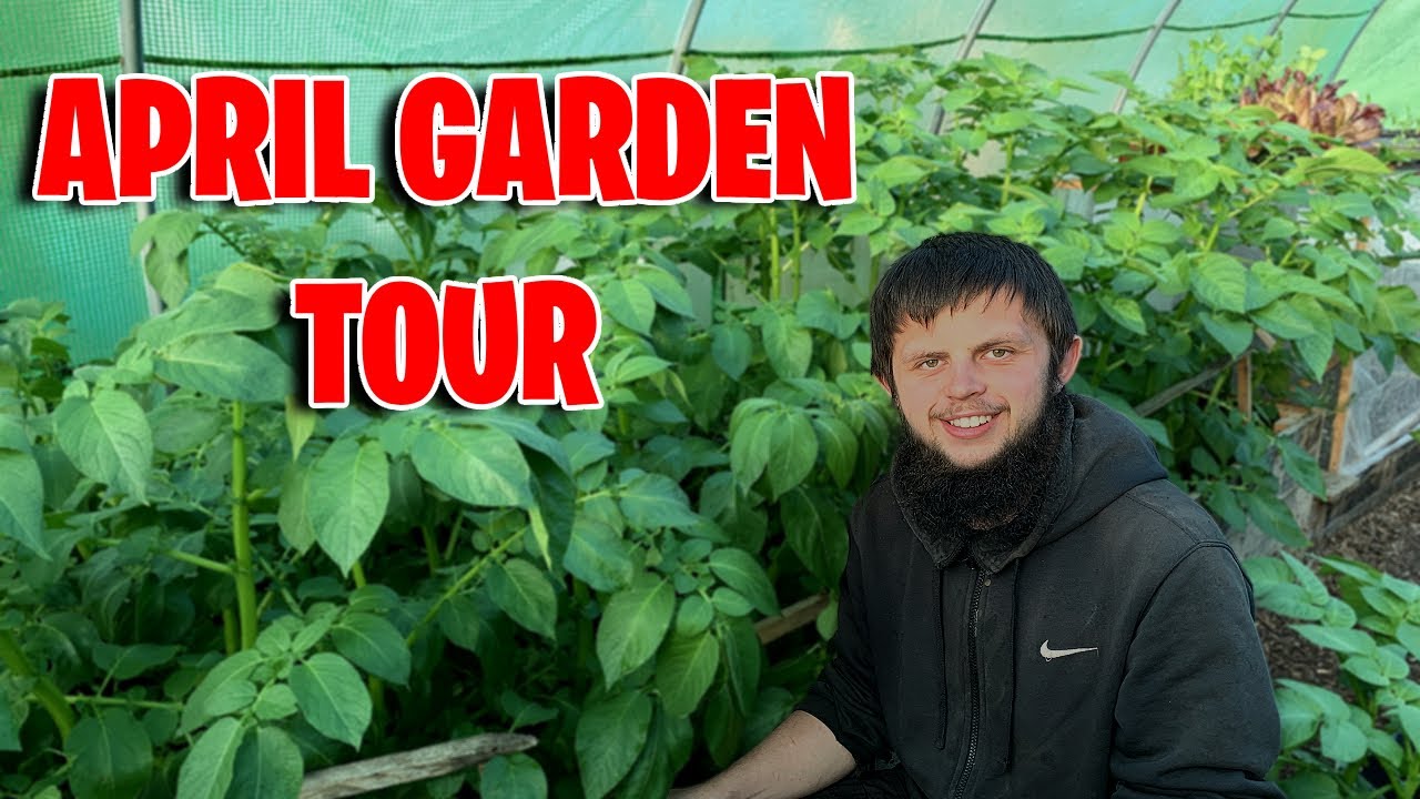 A Full Tour Of The Vegetable Garden in April! - YouTube