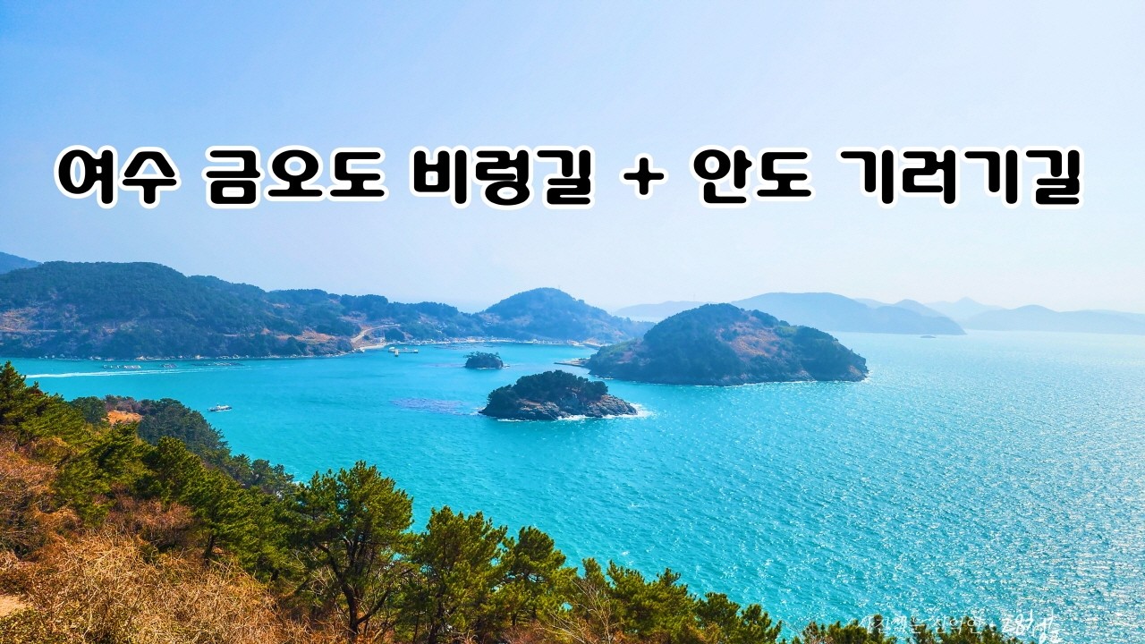 [4K]여수가볼만한곳 동백꽃피는 3월에 추천 드리는 금오도비렁길 풀코스(1코스~5코스/18.5km,6시간) + 안도 기러기길