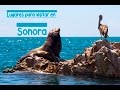 ✅Los MEJORES lugares para VISITAR en SONORA ✈️