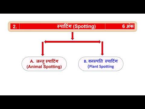 जीवविज्ञान व्यावहारिक 12 | यूपी बोर्ड |एनसीईआरटी | नवीनतम - 2021 | समाधान के साथ मॉडल पेपर | हिंदी में भाग 1