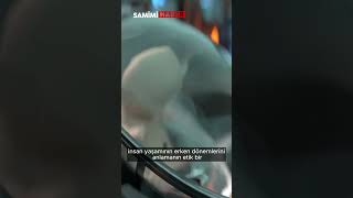 Laboratuvarda Insan Embriyosu Bilim Insanlarını Ikiye Böldü