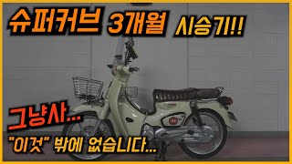 3개월 동안 타본 슈퍼커브 시승기!! (feat.그냥 사)