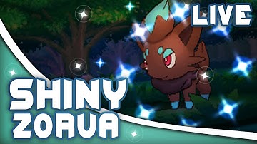 Pokémon ORAS - LIVE SHINY ZORUA After 863 DexNav Encounters (Twitch Highlight)