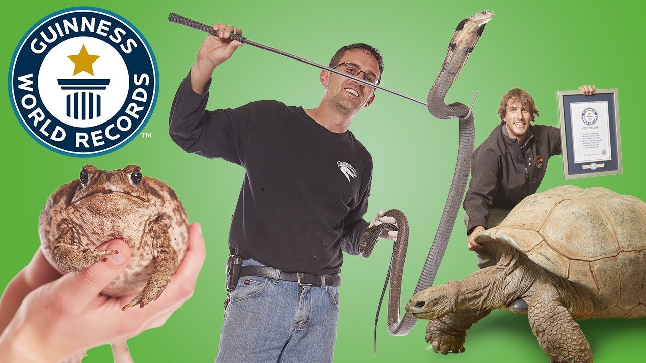 Largest Reptile Zoo Guinness World Records YouTube kids-insider-guide-to-reptilia-canada-s-largest-reptile-zoo-help