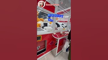 BiGGEST Claw Machine in the WORLD