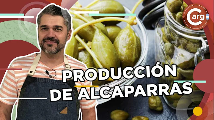 Entdecken Sie die faszinierende Welt der Alcaparra-Produktion