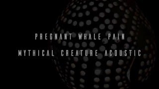 Pregnant Whale Pain - Mythical Creature Acoustic